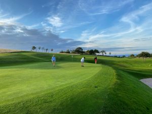 people playing golf and putting on the green during daytime