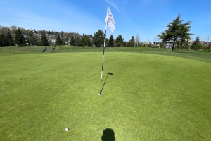 The Saga of Interbay, Part Deux: Sun, Slices, and (Almost) Birdies